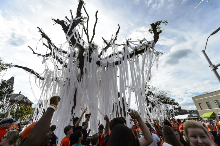 Toomer's Oaks